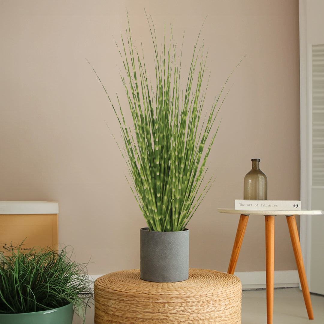 Handmade Decorative Artificial Plant - TG2-A0051 -  Home Accessories - ebarza Furniture UAE | Shop Modern Furniture in Abu Dhabi & Dubai - مفروشات ايبازرا في الامارات | تسوق اثاث عصري وديكورات مميزة في دبي وابوظبي