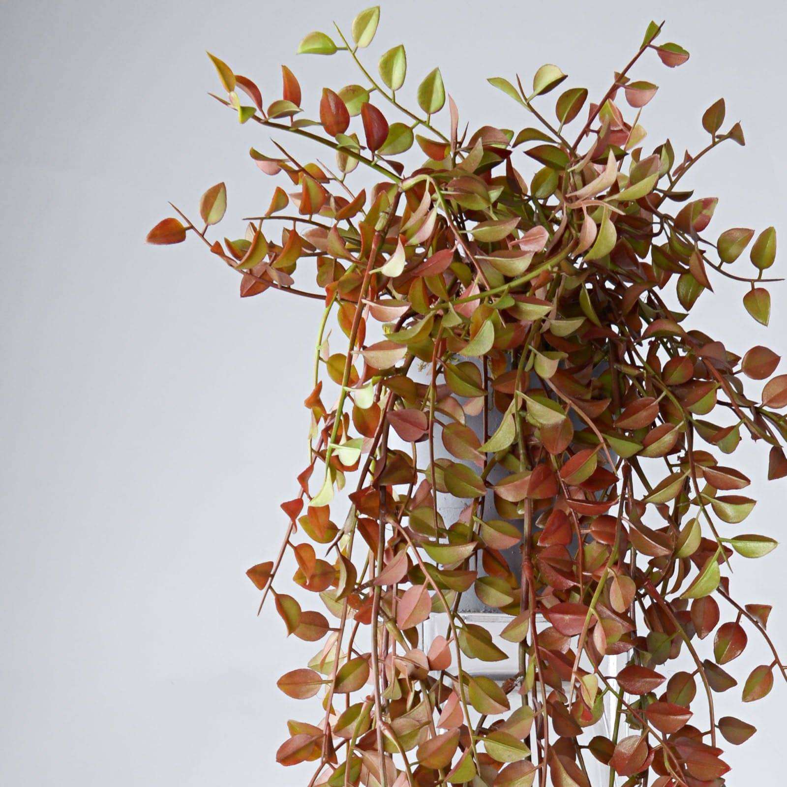Handmade   Decorative Artificial Plant  Sh16-025 -  Plants - ebarza Furniture UAE | Shop Modern Furniture in Abu Dhabi & Dubai - مفروشات ايبازرا في الامارات | تسوق اثاث عصري وديكورات مميزة في دبي وابوظبي