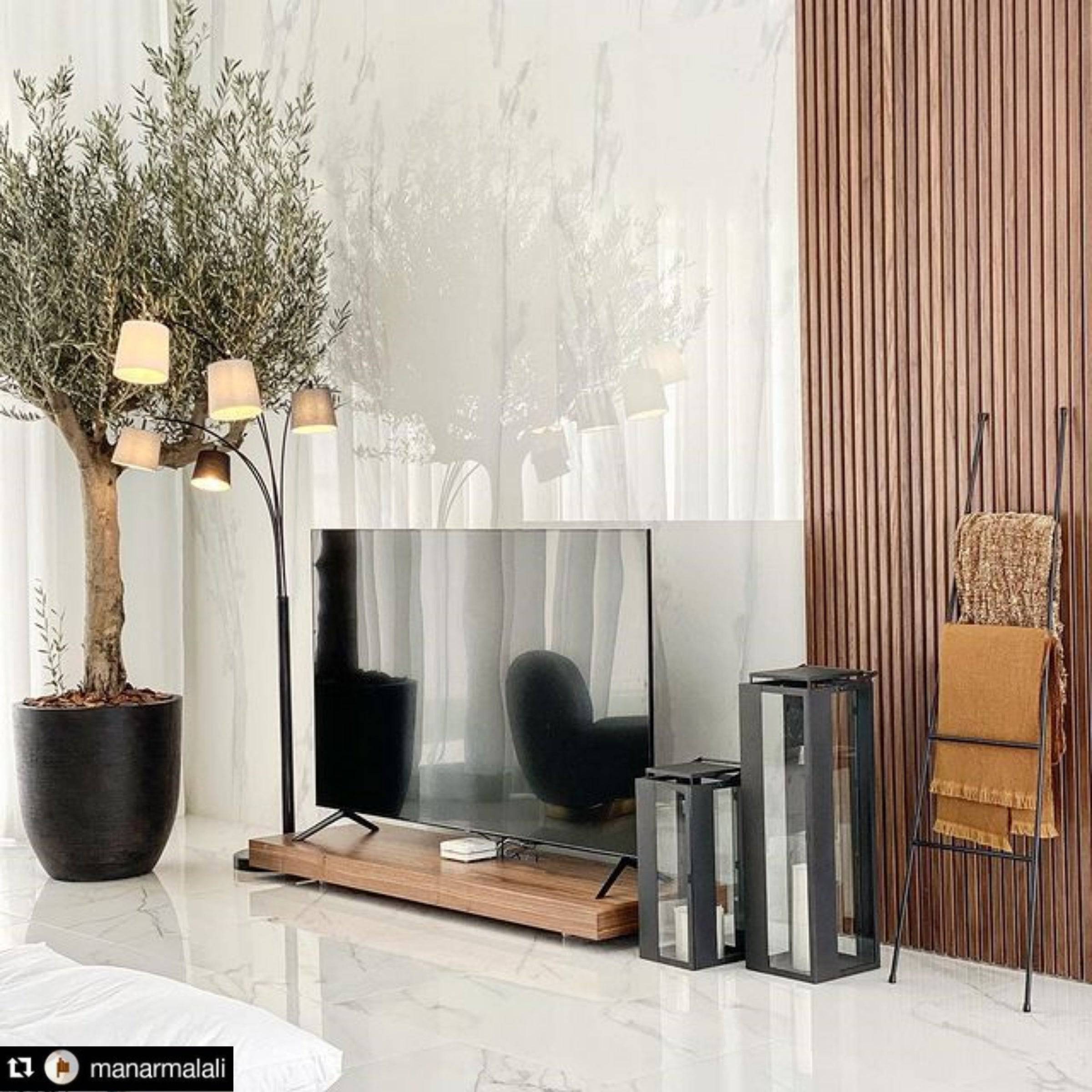 Slim Tv Unit Bsg15181 -  TV Units - ebarza Furniture UAE | Shop Modern Furniture in Abu Dhabi & Dubai - مفروشات ايبازرا في الامارات | تسوق اثاث عصري وديكورات مميزة في دبي وابوظبي
